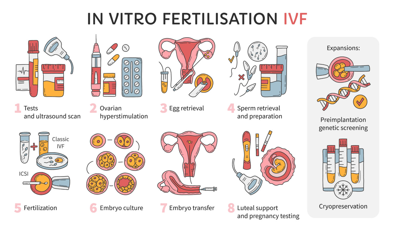 IVF Treatment in Turkey